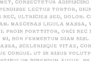 1920 My Toy Print Set, a Slab Serif Font by GLC Foundry (Thumbnail 2 of 5)