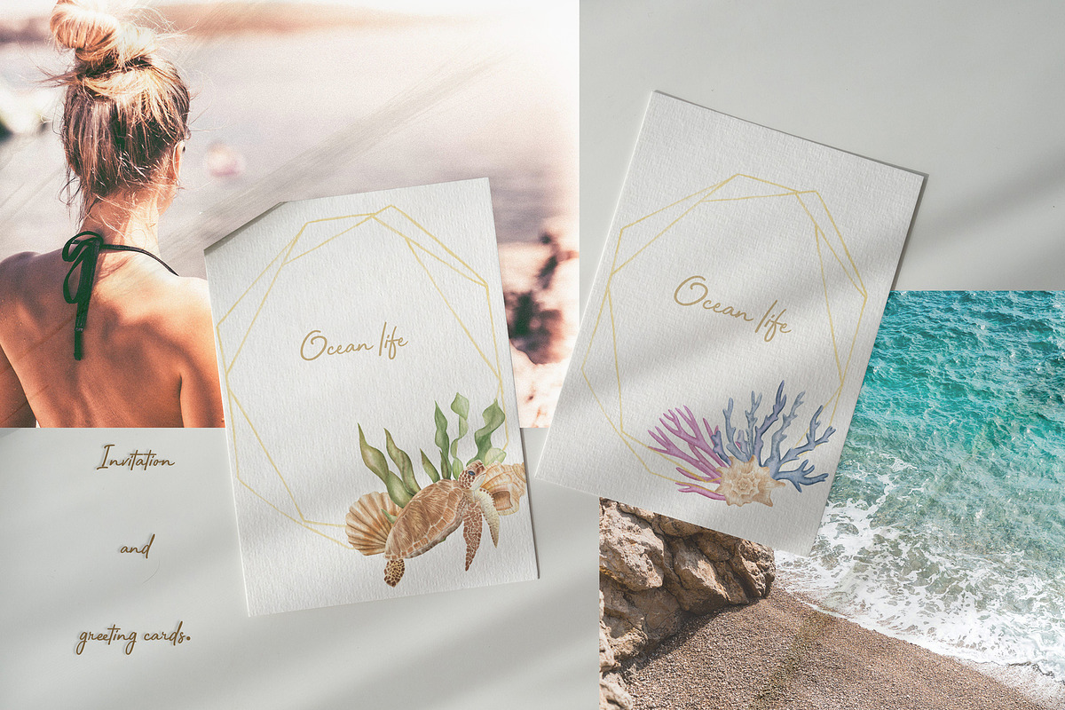 Watercolor ocean life, an Animal Illustration by ViolettaKh (Photo 5 of 9)