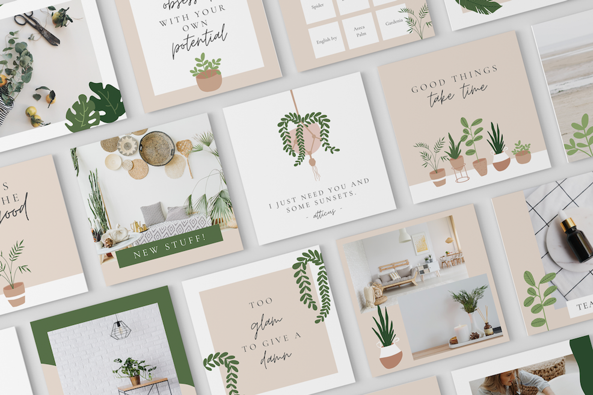 Crazy Plant Lady Instagram Template, a Social Media Template by thetrendytemplate (Photo 2 of 5)