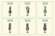 VECTOR PINEAPPLE HAND DRAWN BUNDLE, a Food Illustration by pawellpi (Thumbnail 2 of 5)