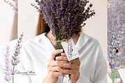 Lavender Clipart Set, a Seasonal Illustration by Leonaa art (Thumbnail 5 of 8)