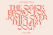 Amour Modern Display Logo Serif, a Sans Serif Font by Mila Garret (Thumbnail 23 of 27)