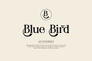 Blingh Ligature serif typeface, a Serif Font by yaqublekker (Thumbnail 2 of 9)