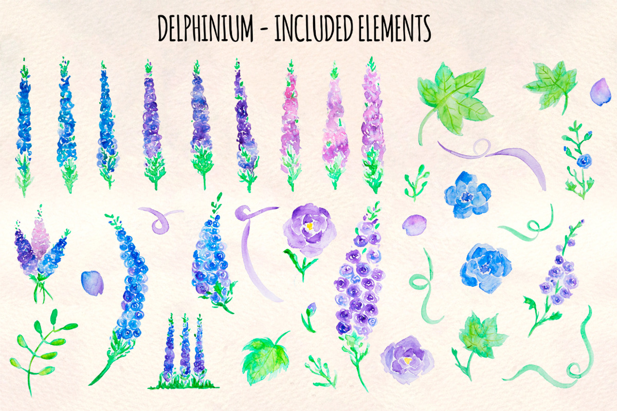 Delphinium Flower Watercolor Bundle, a Seasonal Illustration by Violet LeBeaux (Photo 2 of 3)