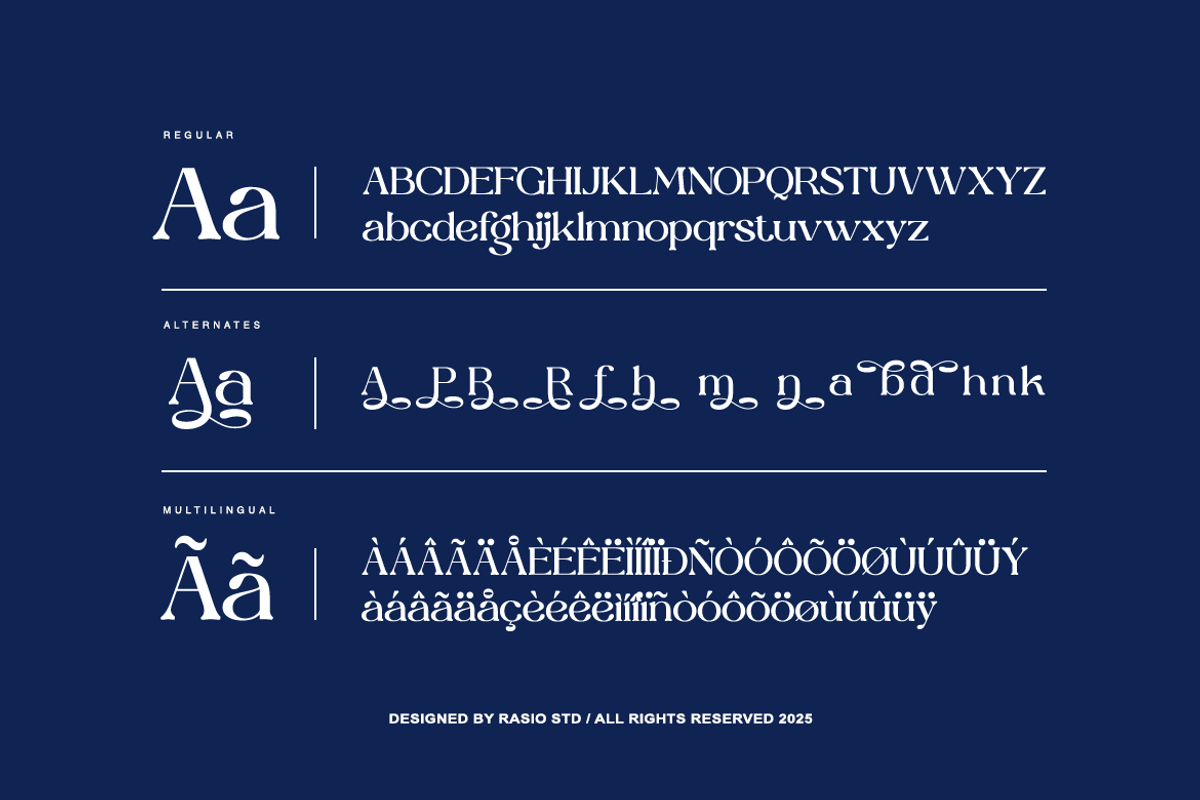 Paverina Modern Elegant Display Font, a Serif Font by Rasio Studio (Photo 3 of 9)