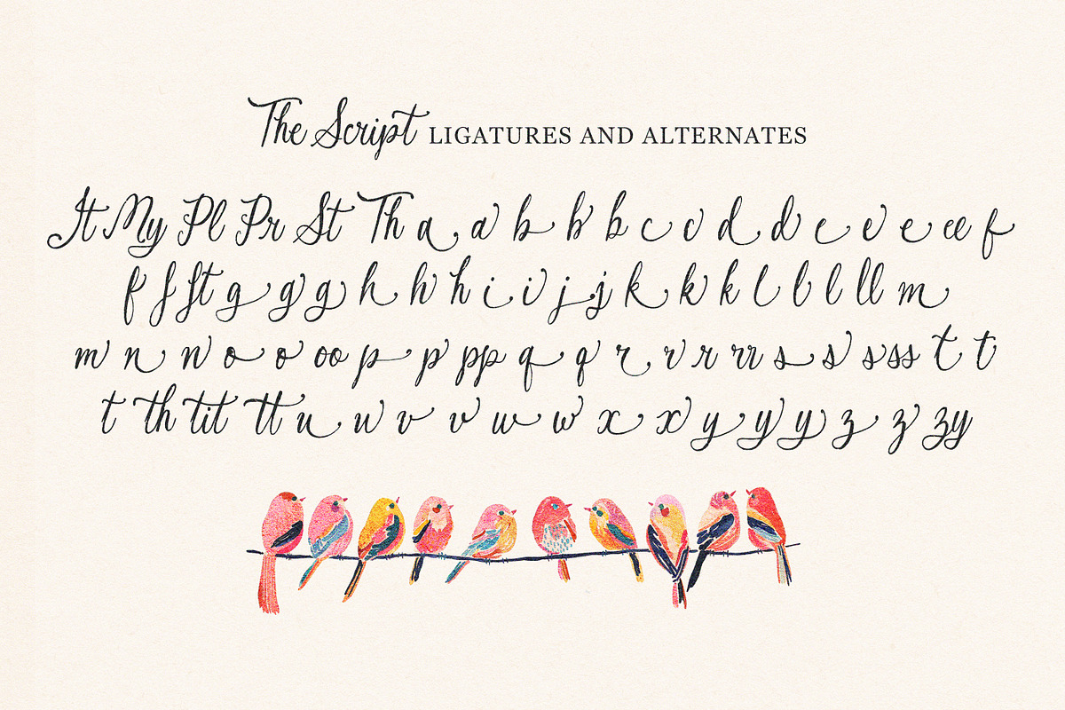 The Secret Garden Font Duo, a Script Font by Nicky Laatz (Photo 28 of 29)