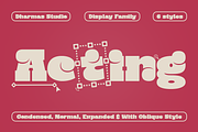 Acting - Slab Rounded Family, a Slab Serif Font by Dharmas Foundry (Thumbnail 1 of 12)