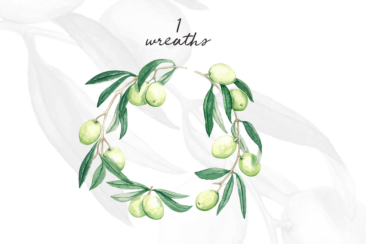 Watercolor Olive Branch Graphic Set, a Food Illustration by In the clouds (Photo 4 of 7)