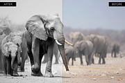 Black & White Lightroom Presets, an Action Add-On by Shutter Pulse (Thumbnail 4 of 5)