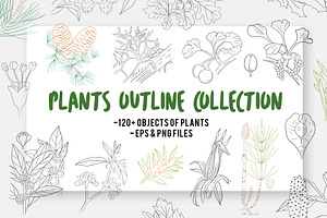 Botanical Line Art Bundle