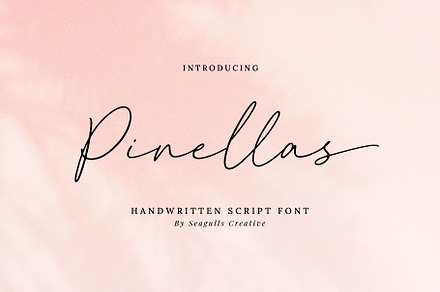 Pinellas Handwritten Script Font, a Script Font by Seagulls Creative