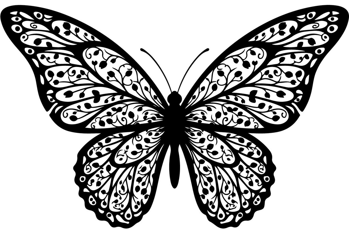 Beautiful Butterfly Silhouette, an Object Graphic by Designer_Momina (Photo 14 of 20)