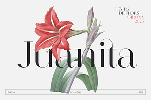 Regonia Display Serif Typeface