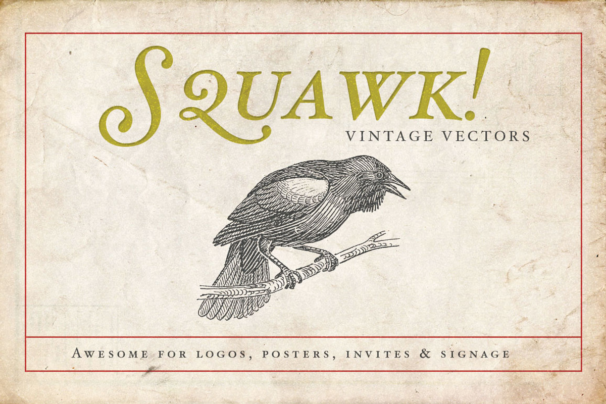 Ornithology Bird Illustrations, an Illustration by BlackBird Foundry (Photo 3 of 3)