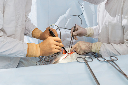 The Surgeon At The Monitor In The Op preview 5