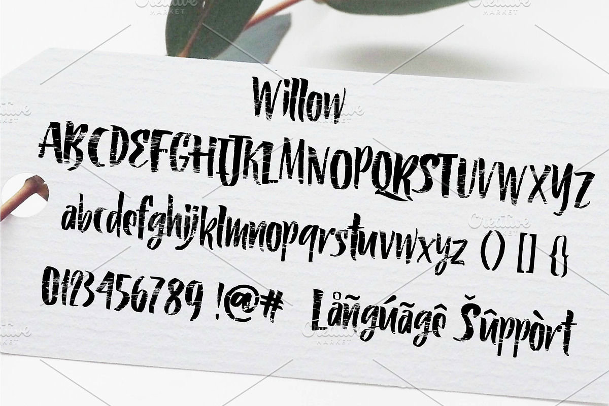 Willow & Thyme with Logo Ornaments preview 2