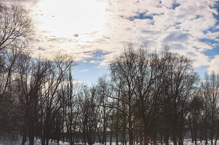 Snow Covered Forest Lake Under Bright Sunshine. Scenic Landscape, a Nature Photo by TanaCh