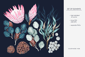 Protea Pattern Vol.1