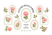 Vintage Peony & Rose Logo Set, an Object Graphic by Artflorara (Thumbnail 2 of 9)