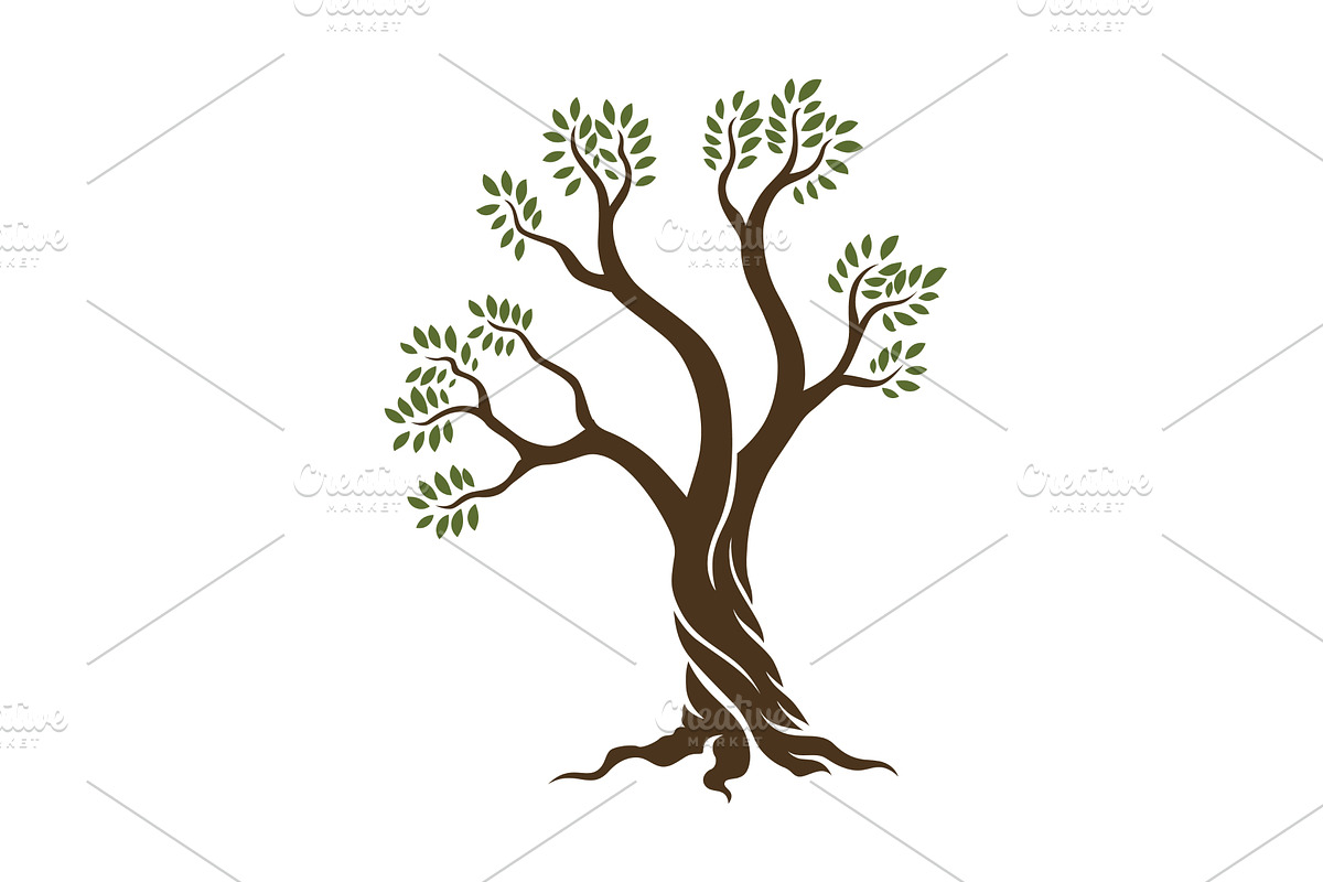 Olive trees with branches and, a Food Illustration by Things for designers