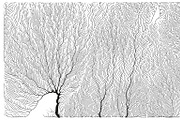 Growth - 50 Backgrounds, a Texture Graphic by GarryKillian (Thumbnail 11 of 51)
