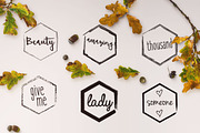 150+ Minimal Hexagon Logo Templates, a Branding & Logo Template by Sahade Studio (Thumbnail 9 of 25)