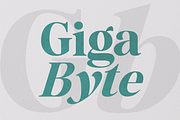 The Billion Butterfly Serif, a Serif Font by zeenesia (Thumbnail 10 of 19)