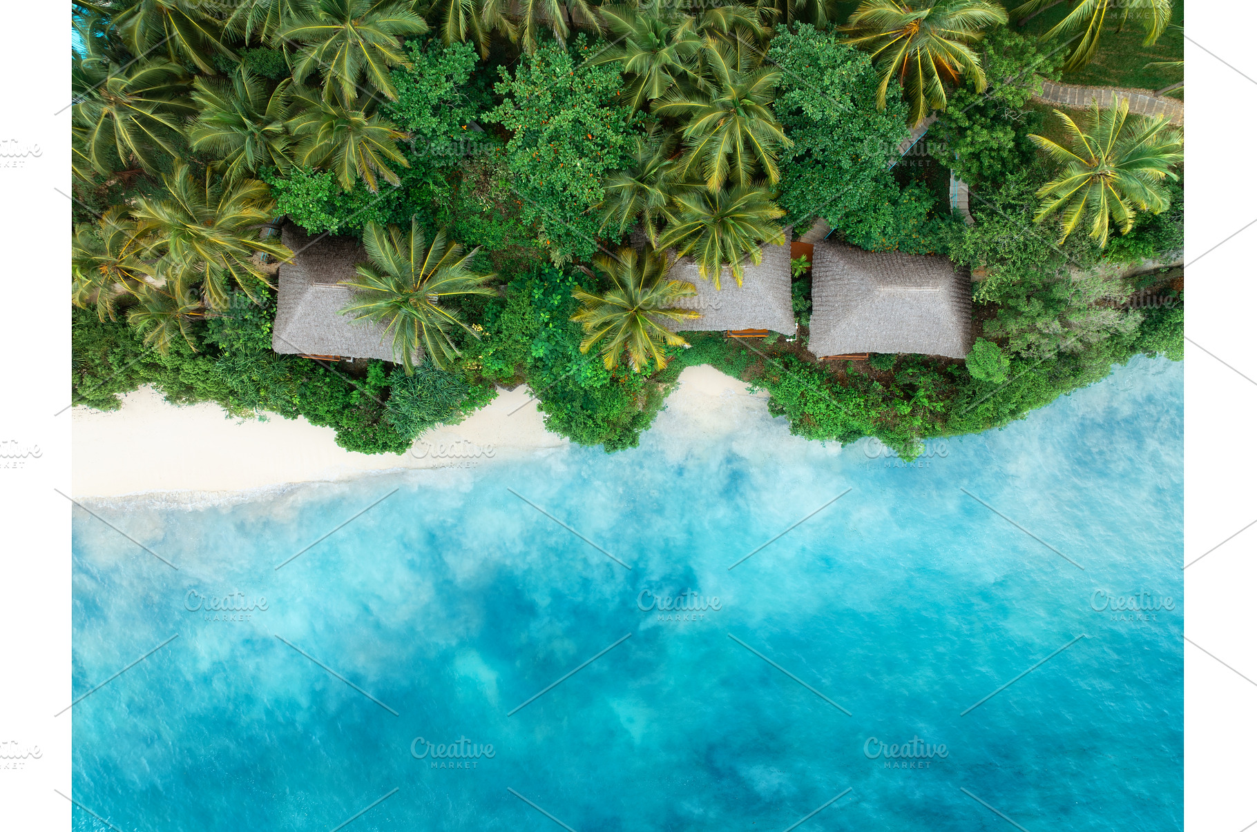 Aerial view of palms, bungalows, a Nature Photo by den-belitsky