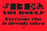 Shomina Font, a Serif Font by Cuchi, qué Tipo! Foundry (Thumbnail 3 of 21)