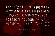 CF Havarti - Modern Serif, a Serif Font by Indotype Foundry (Thumbnail 2 of 10)