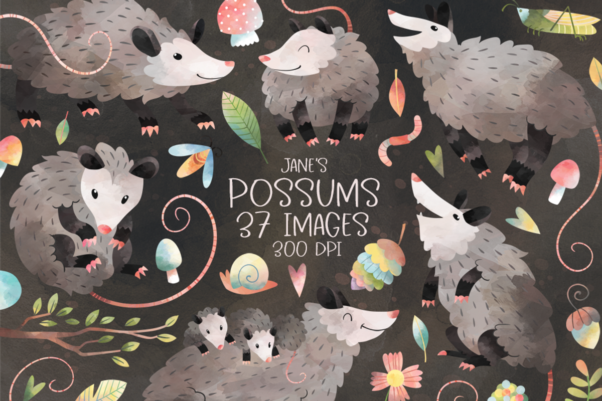 Watercolor Possums Clipart, an Animal Illustration by DigitalArtsi (Photo 1 of 3)