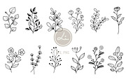 Hand drawn Botanical And Wildflowers, a Decorative Illustration by lindoet23 (Thumbnail 1 of 3)