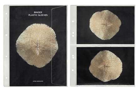 Binder Plastic Sleeve Mockups | PSD, a Books & Magazine Mockup by Studio Viita