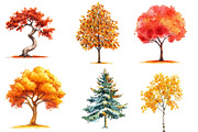 Autumn Trees Clipart, an Illustration by CreationArt (Thumbnail 4 of 5)