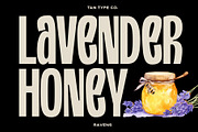TAN - RAVENS, a Serif Font by TanType (Thumbnail 8 of 11)