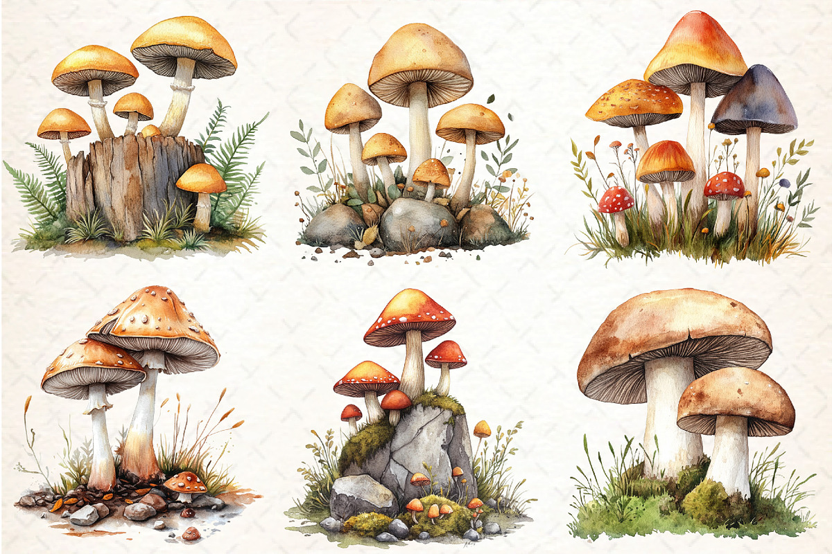 Watercolor Mushroom Clipart bundle, an Illustration by DreamCafeArt (Photo 3 of 9)