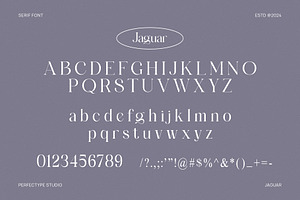 Jaguar Elegant Serif Font Typeface