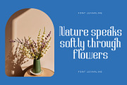 Levarline - Modern Serif Font, a Serif Font by Rishsketch (Thumbnail 4 of 15)