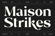 Stiepa | Modern Serif & Sans, a Serif Font by Dora Typefoundry (Thumbnail 2 of 28)