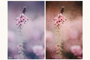 Fine Art Texture 5, a Layer Style Add-On by HappyNews (Thumbnail 3 of 9)