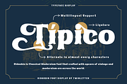 Ridasbin | Serif Classic Modernism, a Serif Font by twinstd (Thumbnail 2 of 13)
