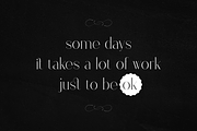Stolen Love - Elegant serif typeface, a Serif Font by VP Fonts (Thumbnail 3 of 34)