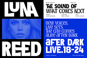 Everplay – Modern Display Typeface, a Serif Font by VP Fonts (Thumbnail 31 of 37)