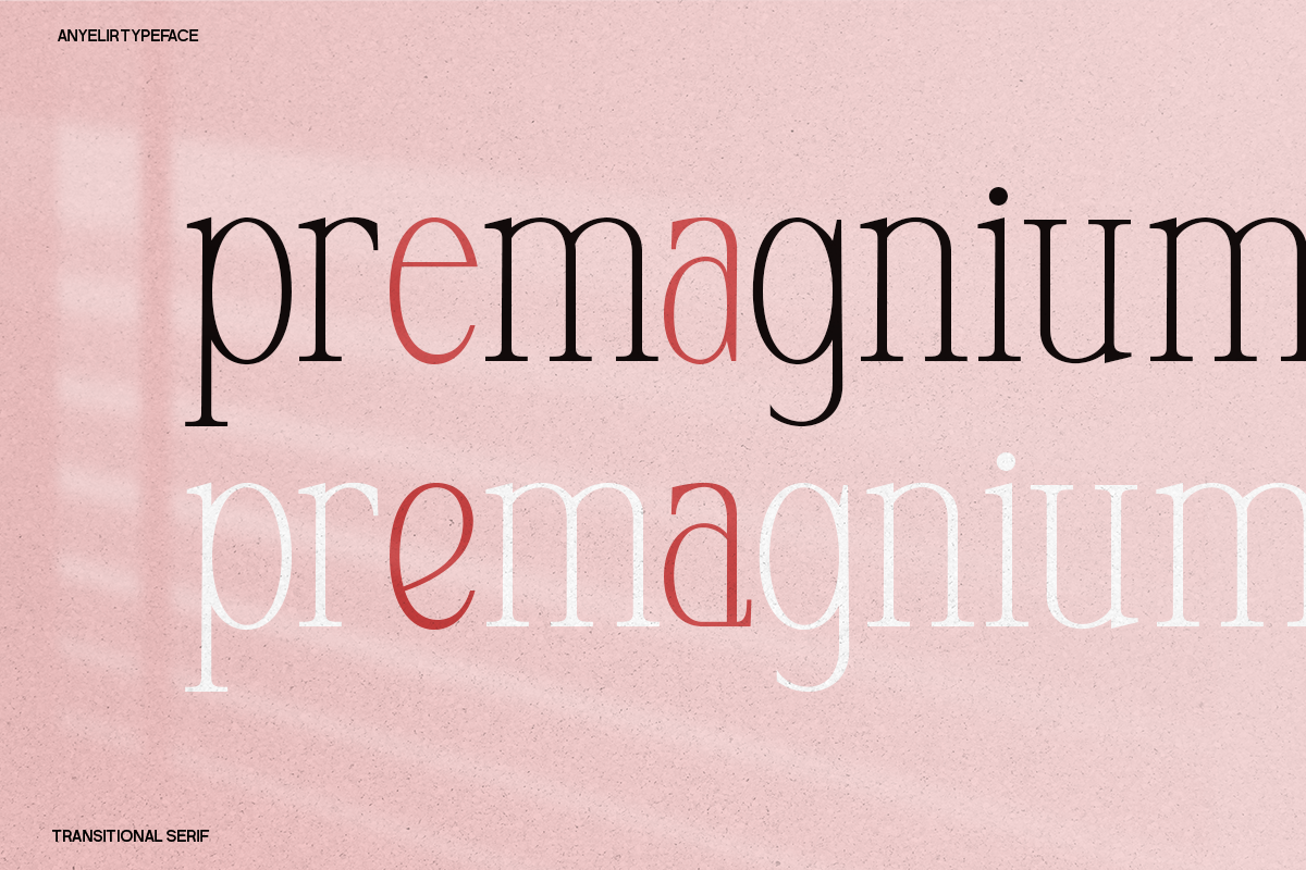 Anyelir Display - Condensed Serif, a Serif Font by Magnolitype (Photo 14 of 21)