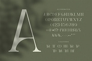 Levelly Luxury Premium Serif Font, a Serif Font by Artiveko (Thumbnail 9 of 9)
