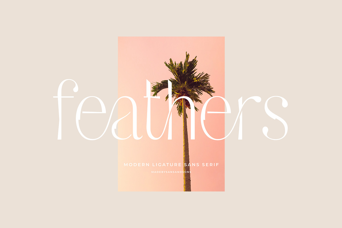 Feathers - Ligature Sans Serif, a Sans Serif Font by Sans & Sons (Photo 1 of 10)