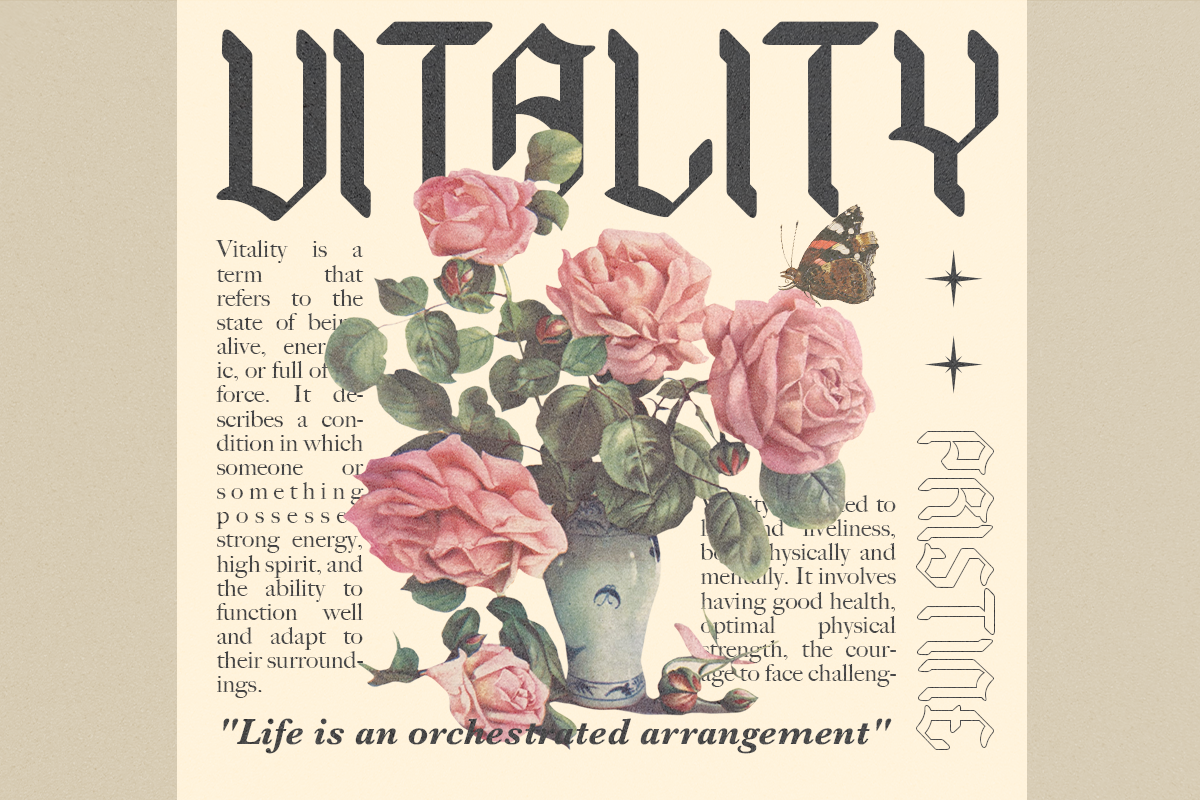 Hyacinth - Modern Blackletter, a Blackletter Font by Dharmas Foundry (Photo 5 of 15)