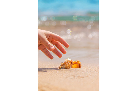 The child takes a seashell on the, a Person Photo by yanadjana