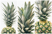 10 Isolated Pineapple Images – Vol 1, a Health & Medical Photo by Pineapple Shop (Thumbnail 5 of 6)