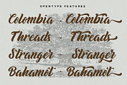 Biyonella - Retro Bold Script Font, a Script Font by StringLabs (Thumbnail 10 of 13)